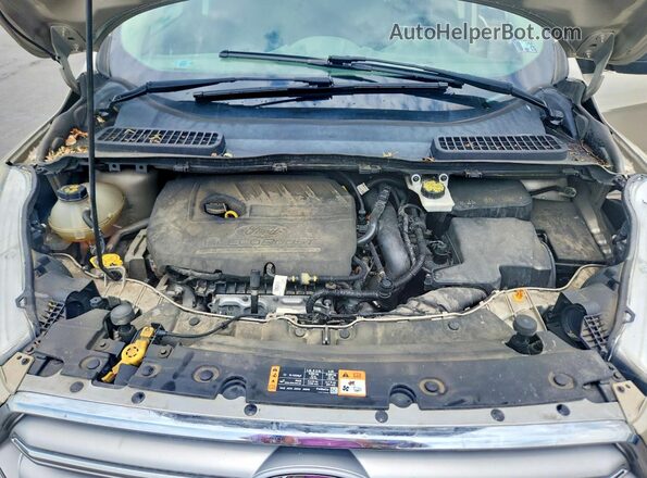 1FMCU9GD4HUC08588 2017 FORD ESCAPE Beige Շարժիչի բաժամունքի տեսք