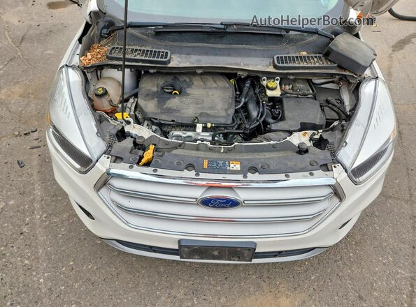 1FMCU9GD4JUD37212 2018 FORD ESCAPE Белый Вид наклейки с VIN-кодом