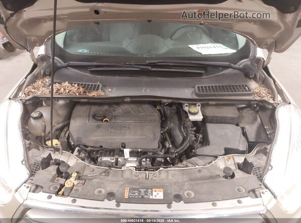 1FMCU9GD6HUA30196 2017 FORD ESCAPE Beige Widok z tyłu