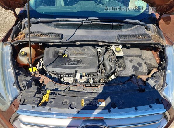 1FMCU9GD6HUC03831 2017 FORD ESCAPE Orange უკანა სალონის ხედი