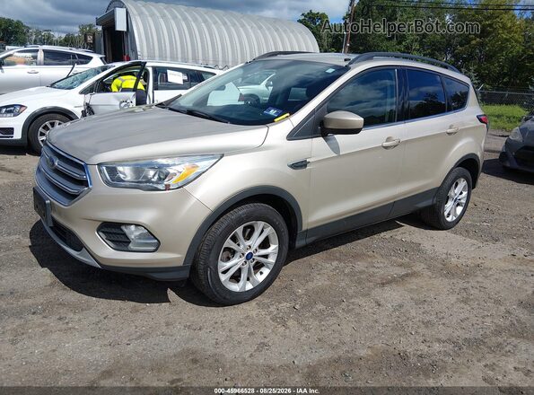 1FMCU9GD6HUE42232 2017 FORD ESCAPE Gold Առջևի ձախ երեք քառորդ տեսարան