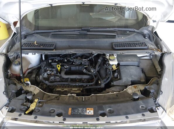 1FMCU9GD7KUA24947 2019 FORD ESCAPE White Widok z tyłu