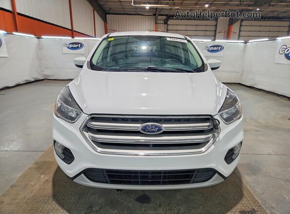 1FMCU9GD8KUC11596 2019 FORD ESCAPE White Vista frontal