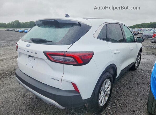 1FMCU9GN6RUB35508 2024 FORD ESCAPE White უკანა მარჯვენა