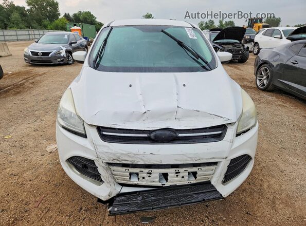 1FMCU9GX4GUB13618 2016 FORD ESCAPE White წინა ხედი
