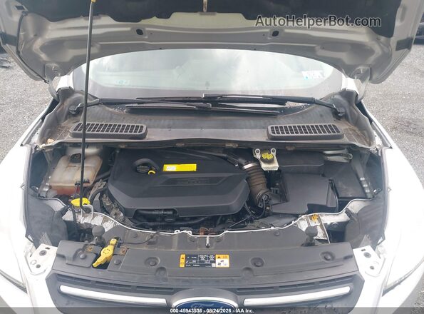 1FMCU9GX5GUB19007 2016 FORD ESCAPE Silver Widok z tyłu