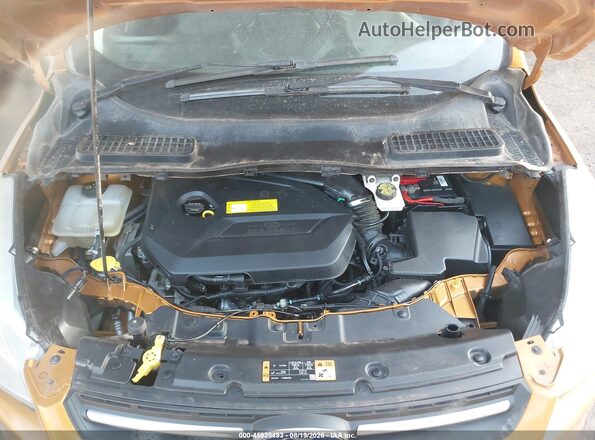 1FMCU9GX7GUC31243 2016 FORD ESCAPE Оранжевый Вид сзади