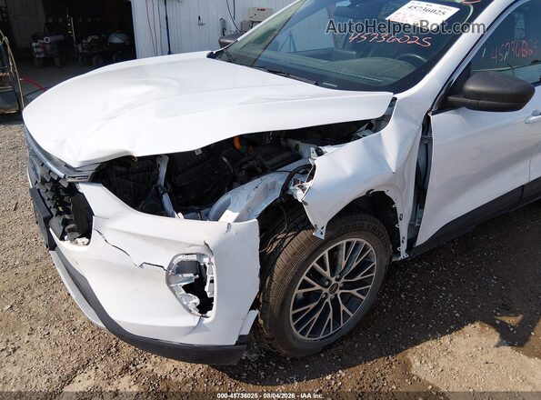 1FMCU9GZXPUA26128 2023 FORD ESCAPE White Widok z przodu