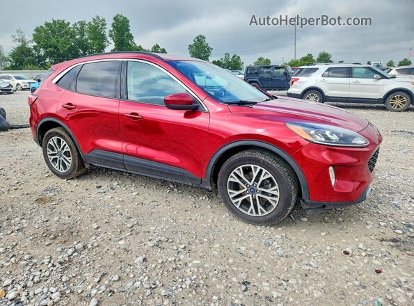 1FMCU9H65MUB09577 2021 FORD ESCAPE Red Առջևի աջ