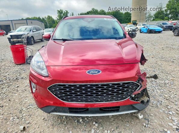 1FMCU9H65MUB09577 2021 FORD ESCAPE Red Դիմացի տեսք