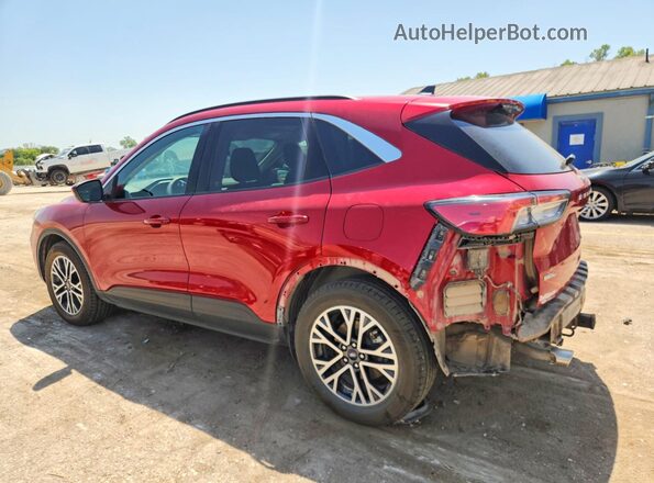 1FMCU9H98LUB98926 2020 FORD ESCAPE Красный Задняя левая четверть
