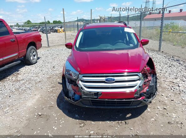1FMCU9HD4KUB76439 2019 FORD ESCAPE Red უკანა სალონის ხედი