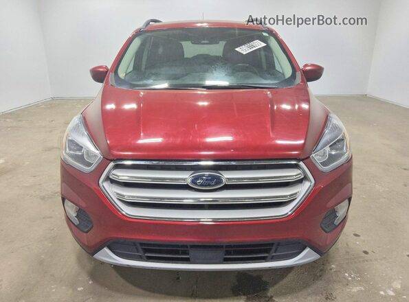 1FMCU9HD8KUB24943 2019 FORD ESCAPE Бордовый Вид спереди