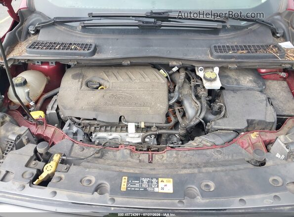 1FMCU9HD9KUB21632 2019 FORD ESCAPE Red Widok z tyłu