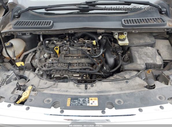 1FMCU9HDXKUA81349 2019 FORD ESCAPE Gray უკანა ხედი