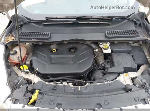 1FMCU9J90JUB99320 2018 FORD ESCAPE Gold Rear view