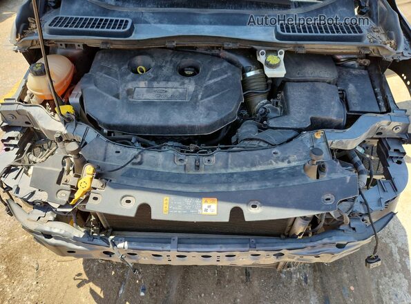 1FMCU9J90KUB11612 2019 FORD ESCAPE Черный Вид задней части салона