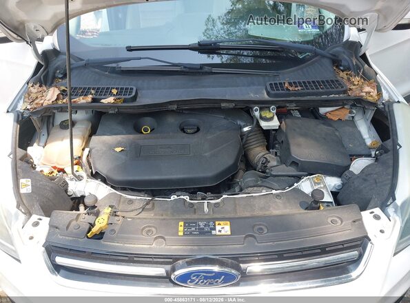 1FMCU9J97GUA89535 2016 FORD ESCAPE White Widok z tyłu