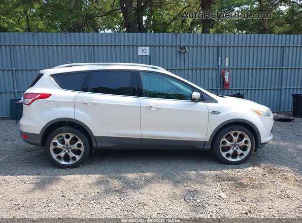 1FMCU9J97GUA89535 2016 FORD ESCAPE White Widok wnętrza z tyłu