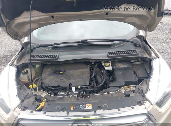1FMCU9JD0HUB19254 2017 FORD ESCAPE Золотой Вид сзади