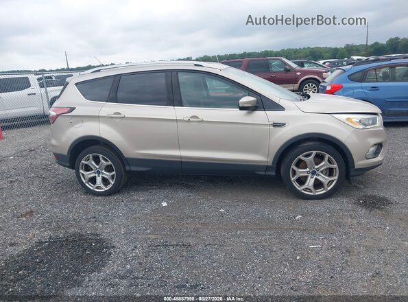 1FMCU9JD0HUB19254 2017 FORD ESCAPE Золотой Вид задней части салона