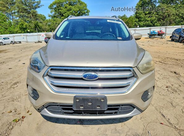 1FMCU9JD0HUE62291 2017 FORD ESCAPE Бежевый Вид спереди