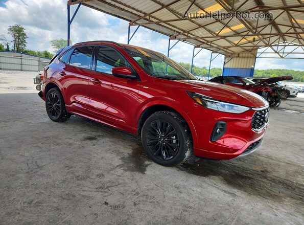 1FMCU9PA0RUB59011 2024 FORD ESCAPE Red Передня права чверть