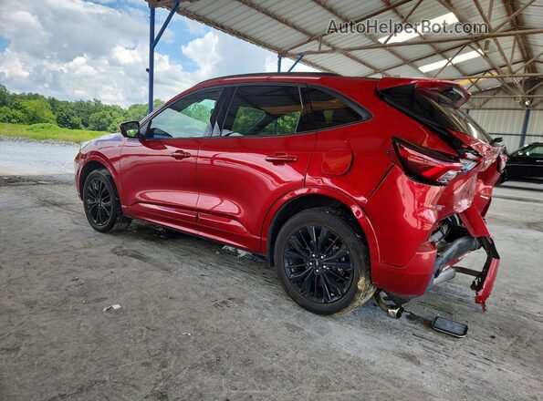1FMCU9PA0RUB59011 2024 FORD ESCAPE Red Задня ліва чверть