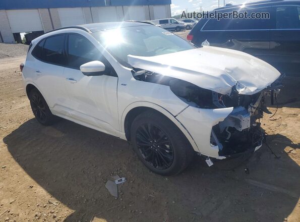 1FMCU9PZ8SUA48704 2025 FORD ESCAPE Белый Передняя правая четверть