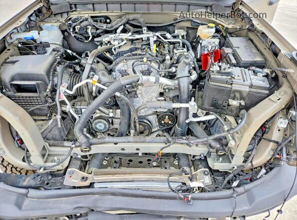 1FMDE8BH4SLB07666 2025 FORD BRONCO Коричневый Вид задней части салона