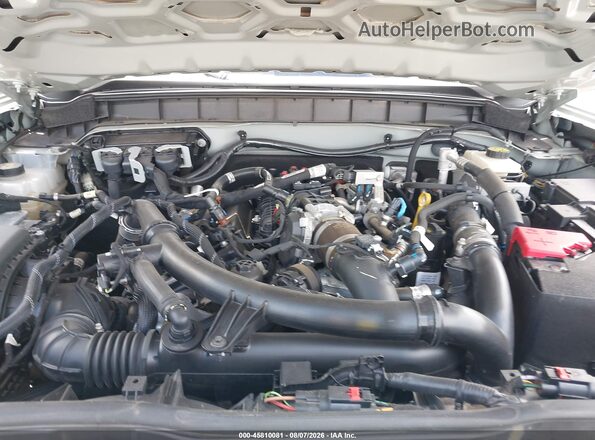 1FMEE5DP7MLA78416 2021 FORD BRONCO Green Вид ззаду