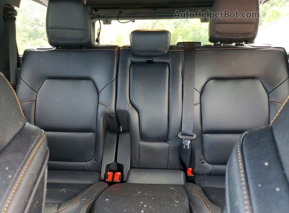 1FMEE9BP9RLA55138 2024 FORD BRONCO Blue Հետևի նստատեղերի տեսք