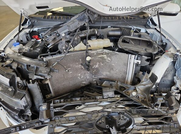 1FMJK2A80REA44705 2024 FORD EXPEDITION Белый 