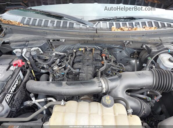 1FMJU1GT3LEA49906 2020 FORD EXPEDITION Black Widok z tyłu
