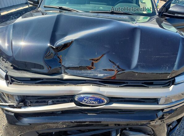 1FMJU1J89REA02487 2024 FORD EXPEDITION Черный Вид подкапотного пространства