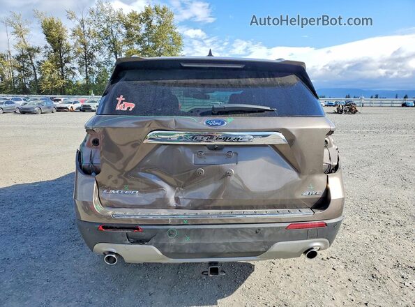 1FMSK8FH6MGA29140 2021 FORD EXPLORER Brown Rear view