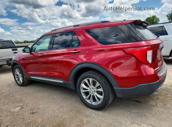 1FMSK8FH9MGA84827 2021 FORD EXPLORER Red უკანა მარცხენა