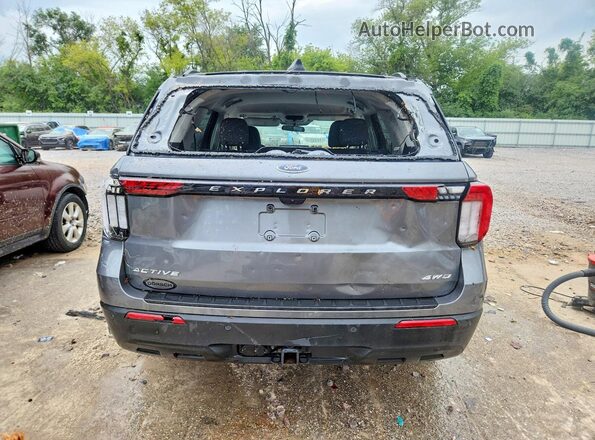 1FMUK8DH7SGC65692 2025 FORD EXPLORER Gray Rear view