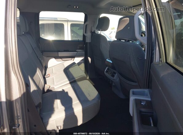 1FT6W3L72RWG20247 2024 FORD F-150 LIGHTNING Gray Widok naklejki z numerem VIN