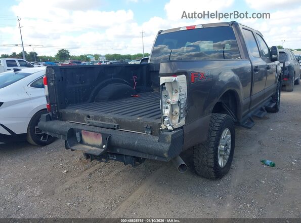 1FT7W2B61HEE02246 2017 FORD F-250 Коричневый Задняя правая четверть