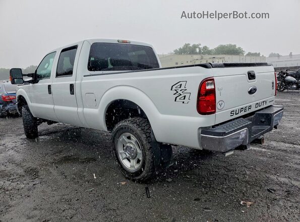 1FT7W2B63GEC61405 2016 FORD F250 White უკანა მარცხენა