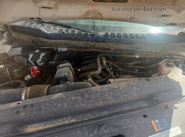 1FT7W2BA7SED85268 2025 FORD F250 White უკანა სალონის ხედი