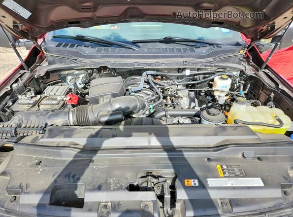 1FT7W2BN0REE26918 2024 FORD F250 Красный Вид задней части салона