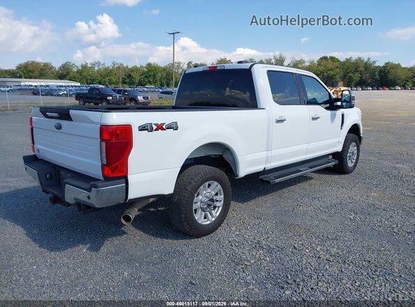 1FT7W2BN6LEC38248 2020 FORD F-250 White Tył prawy