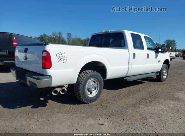 1FT7W2BT7GEC88094 2016 FORD F-250 White Tył prawy