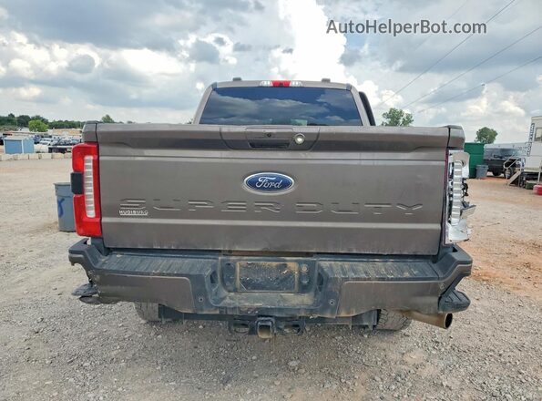 1FT8W2BN1PED09060 2023 FORD 250 Tan Widok z tyłu
