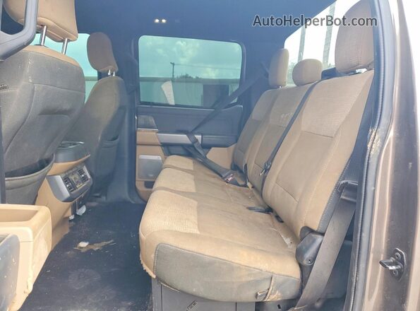 1FT8W2BN1PED09060 2023 FORD 250 Tan Widok tylnych siedzeń