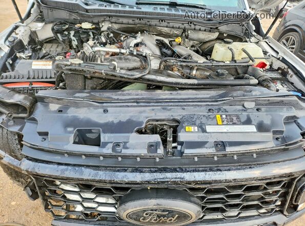 1FT8W2BT0SED36466 2025 FORD F250 White Widok wnętrza z tyłu