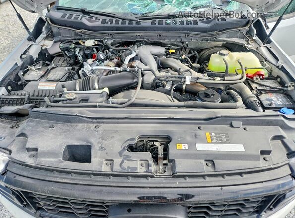 1FT8W2BT4SEE02534 2025 FORD F250 Silver Սալոնի հետևի տեսք