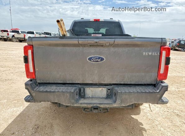 1FT8W2BTXRED14856 2024 FORD F250 Gray Rear view
